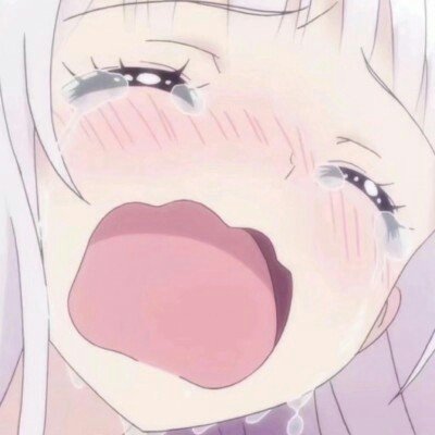 伊代表团9日晚抵达